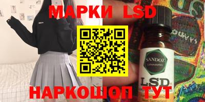 прущие грибы Будённовск