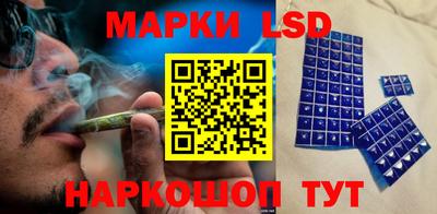 прущие грибы Будённовск